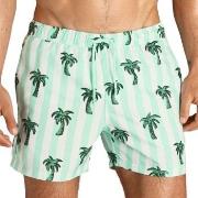 Björn Borg Badbyxor Sylvester Swim Shorts Ljusgrön polyester X-Large H...