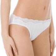 Calida Trosor Etude Toujours Low Cut Brief Vit bomull Large Dam