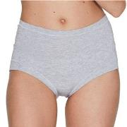 JBS of Denmark Trosor Bamboo Maxi Brief Ljusgrå Medium Dam