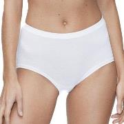 JBS of Denmark Trosor Organic Cotton Maxi Brief Vit ekologisk bomull X...