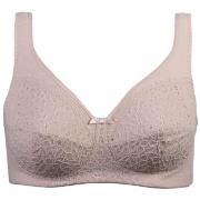 Damella BH Classic Soft Lace Bra Puder C 95 Dam