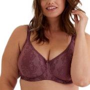 Swegmark BH Adamo Padded Soft Wired Bra Plommon B 80 Dam