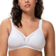 Triumph BH Modern Lace Cotton Soft Bra Vit C 100 Dam