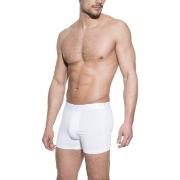 Bread and Boxers Boxer Brief Kalsonger Vit ekologisk bomull X-Small He...