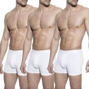 Bread and Boxers Boxer Briefs Kalsonger 3P Vit ekologisk bomull Medium...