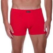 Bruno Banani Kalsonger Check Line 2.0 Shorts Röd polyamid Medium Herr