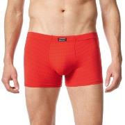 Bruno Banani Kalsonger Check Line 2.0 Shorts Röd polyamid XX-Large Her...