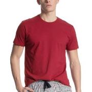 Calida Remix Basic T-Shirt Mörkröd bomull Medium Herr