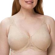 Triumph BH Contouring Sensation W01 Hud E 85 Dam