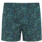 Jockey Kalsonger Woven Poplin Boxer Shorts Grön bomull X-Large Herr