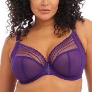 Elomi BH Matilda Underwired Plunge Bra Lila J 70 Dam