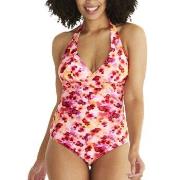 Abecita Haiti Halterneck Swimsuit Svart D/E 40 Dam