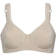 Swegmark BH Adamo Padded Soft Wired Bra Beige D 70 Dam