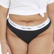 Calvin Klein Trosor Modern Cotton Plus Thong Svart 3XL Dam