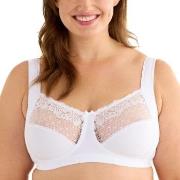 Swegmark BH Delight Soft Bra Vit polyamid D 75 Dam