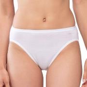 Mey Trosor Lights Jazz Briefs Vit 44 Dam