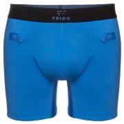 Frigo Sport Boxer Brief Kalsonger 3P Royalblå Small Herr