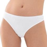 Mey Trosor Organic Cotton Mini Briefs Vit bomull X-Small Dam