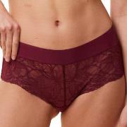 Triumph Trosor Body Make-Up Illusion Lace Shorty Vinröd 42 Dam