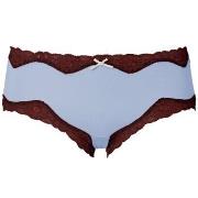 Triumph Trosor Brief Micro and Lace Hipster 15 Ljusblå polyamid Medium...