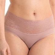 Anita Trosor Essential High Waist Lace Briefs Rosa Large Dam