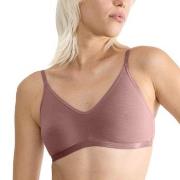 Sloggi BH GO Daily Cotton Soft Bra Mörkrosa XX-Large Dam