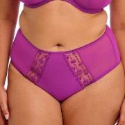 Elomi Trosor Matilda Full Brief Fuchsia/Lila Medium Dam