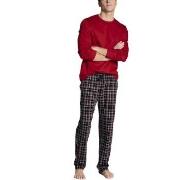 Calida Family and Friends Men Pyjama With Cuff Flerfärgad bomull Mediu...