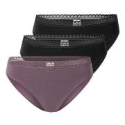 Schiesser Trosor 3P Modern Lace Rio Briefs Lila/Svart bomull 44 Dam
