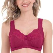 Anita BH Orely Support Bra Cherry nylon E 80 Dam