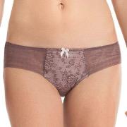 Rosa Faia Trosor Fleur Brief Berry 44 Dam