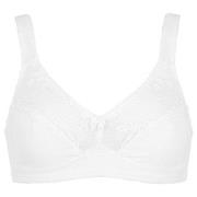 Damella BH Felice Soft Bra Vit bomull F 70 Dam