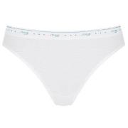 Sloggi Trosor 3P 24 7 100 Tai Briefs Vit bomull 46 Dam
