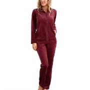 Damella Velour Plain Suit Mörkröd 3XL Dam