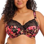 Elomi BH Morgan Banded Bra Blommig L 80 Dam