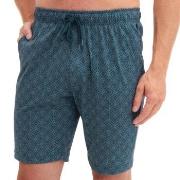 Calida Pyjama Short Petrol bomull XX-Large Herr