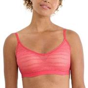 Sloggi BH FREE Evolve Lace Push-Up Bra Rosa Sloggi 02 Dam