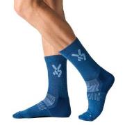 Seger Strumpor Glide Wool Ski Socks Marin/Blå Strl 40/42