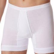 Schiesser Kalsonger Fine Rib Underpants 3XL-6XL Vit bomull 5XL Herr