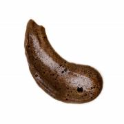 Coco and Eve Bali Bronzing Foam (Various Shades) - Ultra Dark