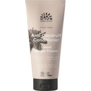 Anti-Dandruff Sweet Ginger Flower Conditioner, 180 ml Urtekram Shampoo