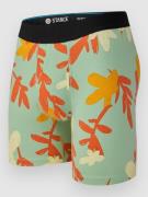 Stance Paradise Boxershorts jade