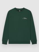 Quiksilver Basic Graphic Crew Tröja trekking green