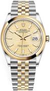 Rolex Damklocka 126203-0039 Datejust 36 Gulguldstonad/18 karat gult