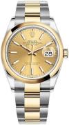 Rolex Damklocka 126203-0016 Datejust 36 Gulguldstonad/18 karat gult