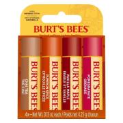 Burt's Bees Fall Limited Edition Blister 4 st.