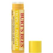 Burt's Bees Lip Balm Tropical Pineapple Blister 4,25 g