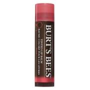 Burt's Bees Tinted Lip Balm Rose 4,25g