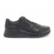 Paciotti Sneakers Black, Herr