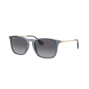 Ray-Ban Rb4187 Solglasögon Blue, Herr